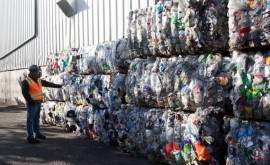 В Молдове перерабатывается только 10 отходов