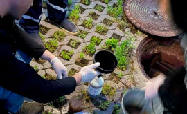 В Кишиневе наказали виновных в сбросе токсичных сточных вод