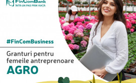 FinComBusiness Noi granturi pentru femeile antreprenoare din domeniul Businessului AGRO