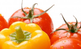 В Молдове наконецто появились первые овощи из нового свежего урожая
