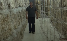 Инициативный молодой человек превратил заброшенную шахту в ферму для грибов