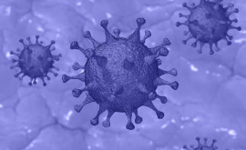 Восточная Азия пережила пандемию коронавируса 20 тысяч лет назад