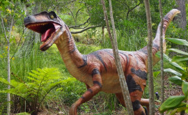 A fost dovedit declinul dinozaurilor cu mult înaintea căderii asteroidului 