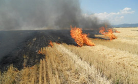Спасатели информируют население об опасности пожаров во время уборки урожая