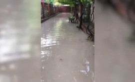 Gospodării inundate și străzi transformate în rîuri la Bender VIDEO