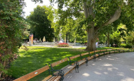 Чебан В парках Вены есть много инноваций которые мы обязательно применим в Кишинёве