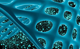 Новый биоматериал может защитить от радиации ученым помог обычный меланин