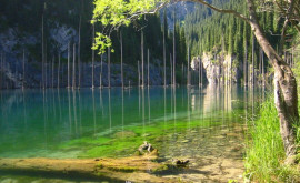 Озеро Каинды затонувший лес в Казахстане Фото Видео