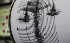 Seism cu magnitudinea de 59 la graniţa dintre California şi Nevada