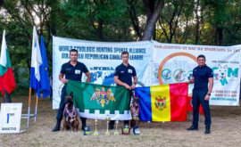 Echipele canine ale IGPF au obținut mai multe succese la Săptămâna chinologică europeană