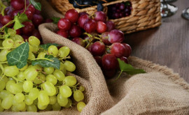 В Японии гроздь винограда продали за рекордные 12 тысяч долларов