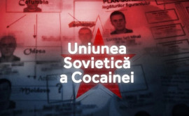 Investigație RISE Nume influente din R Moldova împlicate în trafic internaţional de droguri