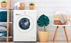 Pericolul din maşina de spălat La temperaturi joase se înmulțesc bacteriile