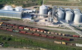 Trans Oil a reluat exportul de cereale din R Moldova și România