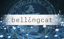 Bellingcat проект спецслужб помогающий в цифровой охоте на ведьм Мнение 