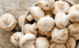 Может ли потребление грибов снизить риск развития рака