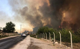 Sute de de pompierii printre care și moldoveni luptă cu flăcările în Antalya