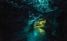 Peșterile cu viermi luminoși