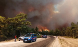 Incendiile de pădure de pe coasta de sud a Turciei au devenit un dezastru național