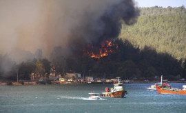Турция запросила помощь ЕС в тушении лесных пожаров