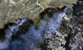 Фото масштабных пожаров в Турции снятые из космоса