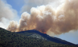 Incendii în Siberia Cea mai rece regiune din lume a fost cuprinsă de flăcăr