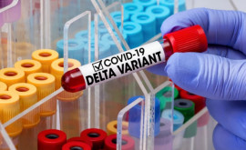 Deltaштамм коронавируса вскоре смогут определять и в лабораториях Кишинева 