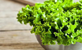 Почему нужно есть листовой салат каждый день