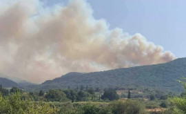 Лесные пожары в Греции достигли Афин