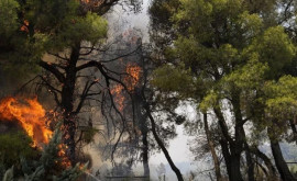 В Греции лесные пожары вплотную приблизились к историческим объектам