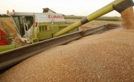 Украина помогает Молдове экспортировать зерно
