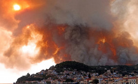 В Греции ситуацию с пожарами назвали беспрецедентным экологическим кризисом