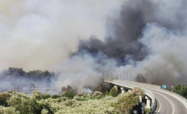 В Италии сотни людей эвакуируют изза лесных пожаров