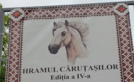 В Бравиче свято чтятся традиции В селе прошел четвертый фестиваль лошадей и повозок