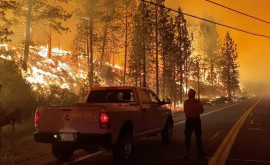 В Калифорнии в результате лесного пожара восемь человек пропали без вести
