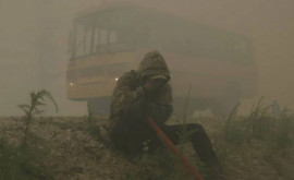 Fumul degajat de incendiile violente de vegetație din Siberia a ajuns pînă la Polul Nord