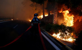 Власти Греции выделят 500 млн на помощь пострадавшим от пожаров