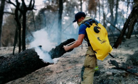 Peste 260 de focare au fost stinse de pompierii moldoveni în Grecia 