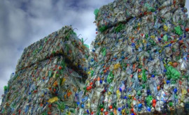Inițiativa privind reciclarea sticlelor din plastic ReturnthePlastics va fi înregistrată
