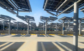 Un parc zoologic din Belgia inaugurează cel mai mare garaj solar