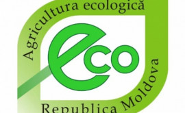 Экологически чистые продукты в Молдове
