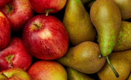 În noul sezon recolta de mere în UE va crește iar de pere va scădea