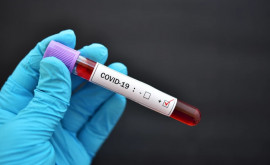 Опубликован список стран признающих молдавские свидетельства о вакцинации против COVID19 