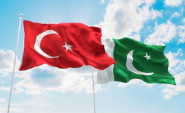 Турция будет сотрудничать с Пакистаном в вопросе стабилизации в Афганистане
