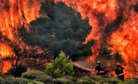Grecia cuprinsă de noi incendii forestiere