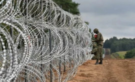 На границе Польши и Беларуси появляются первые километры забора с колючей проволокой