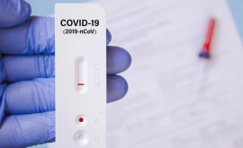 Бесплатные тесты на антиген COVID19 для учителей Инициатива платформы DA