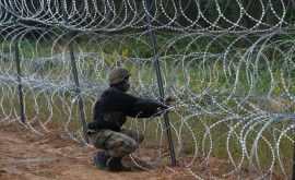 В Польше попытались разрушить забор на границе с Белоруссией