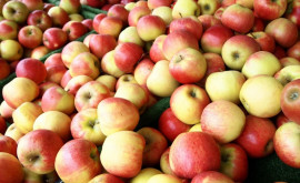 Prețurile scăzute la mere încîntă consumatorii dar îngrijorează grădinarii
