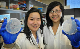 Au făcut imposibilul Două studente au inventat o bacterie care transformă plasticul în apă